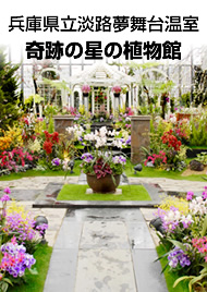 兵庫県立淡路夢舞台温室　奇跡の星の植物館