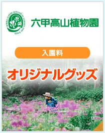 六甲高山植物園